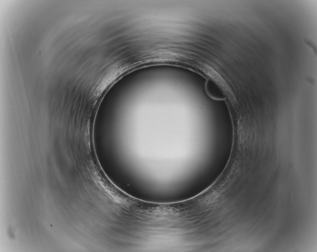 X0000101180842200807071243