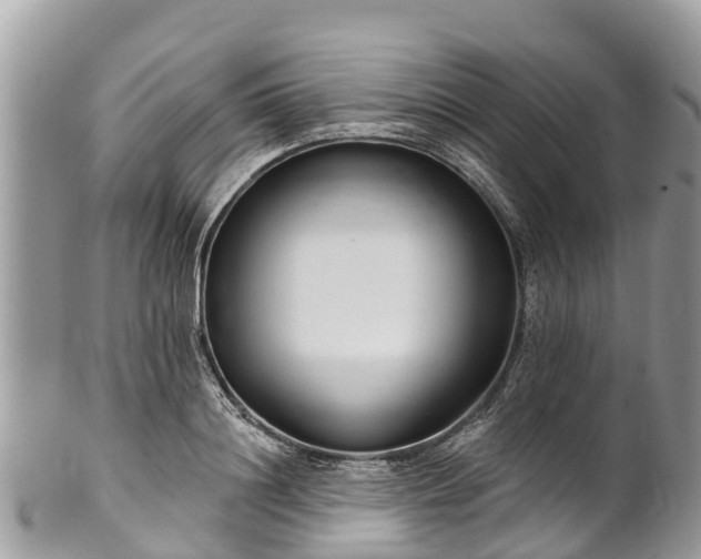 X0000101180844200807071243