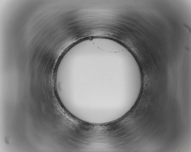 X0000101180848200807071243