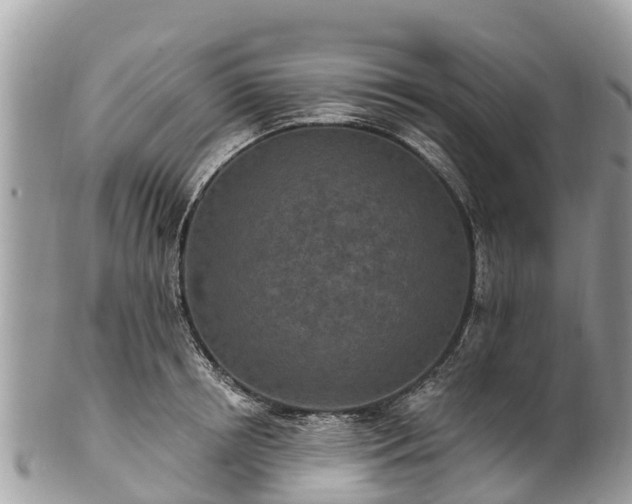 X0000101180850200807071243
