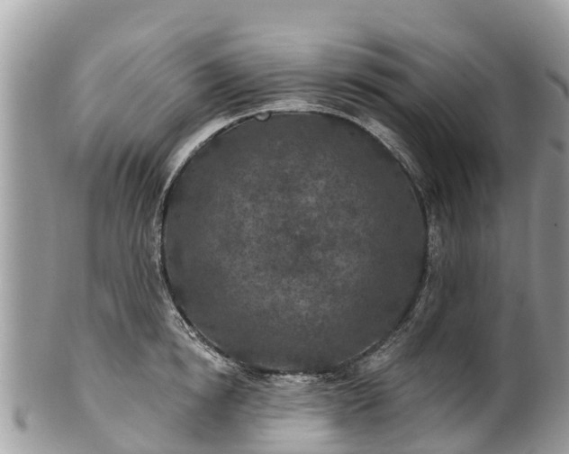 X0000101180854200807071243