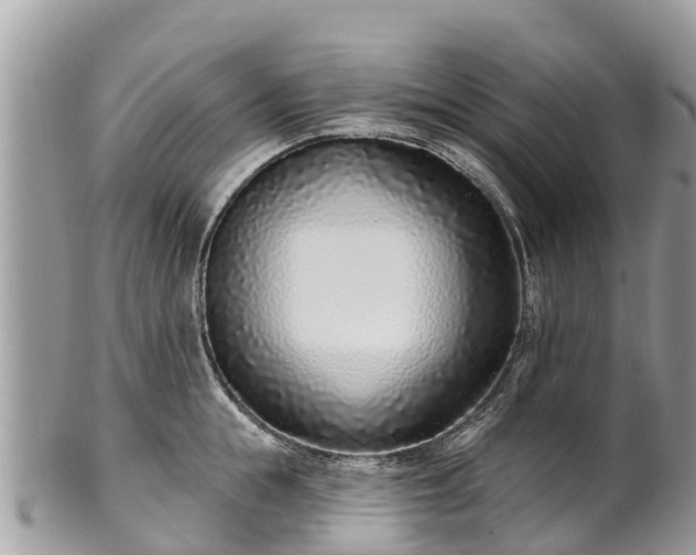 X0000101180855200807071243