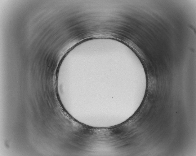 X0000101180856200807071243
