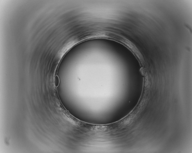 X0000101180858200807071243