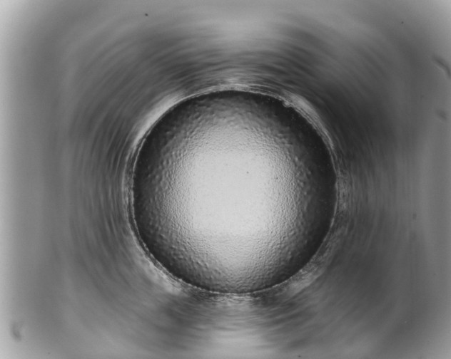 X0000101180859200807071243