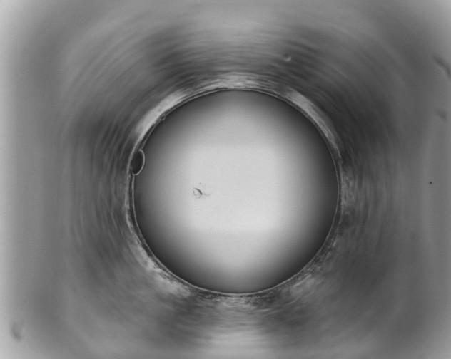 X0000101180861200807071243