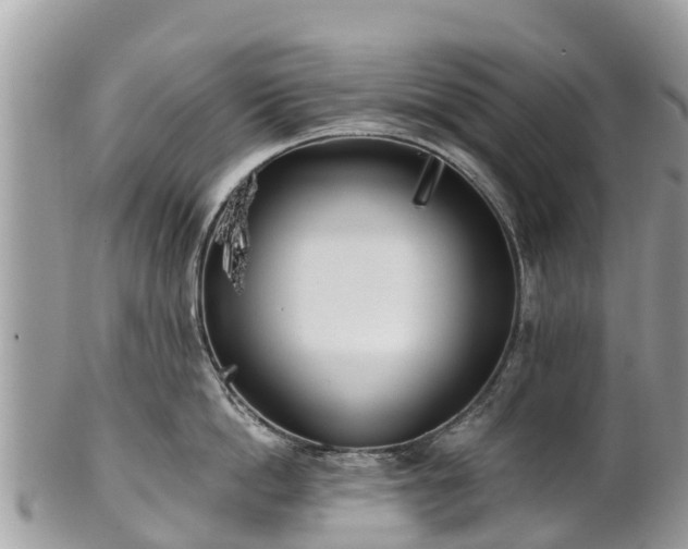 X0000101180862200807071243