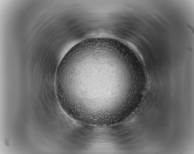 X0000101180863200807071243