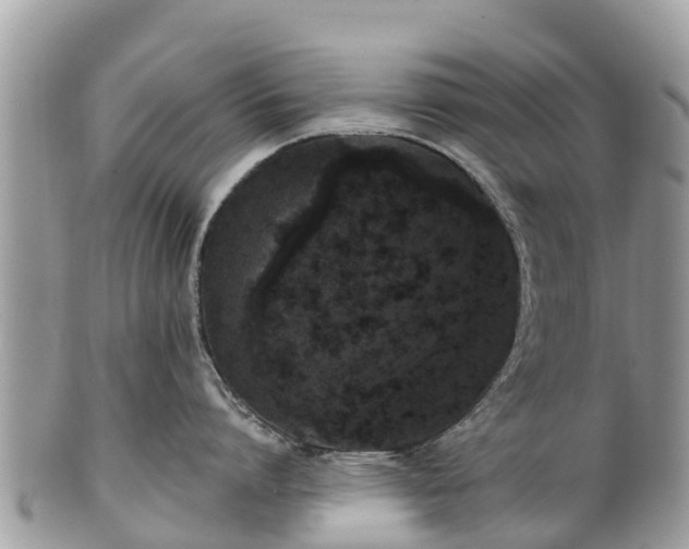 X0000101180864200807071243