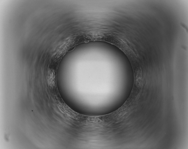 X0000101180866200807071243