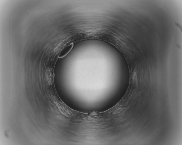 X0000101180868200807071243