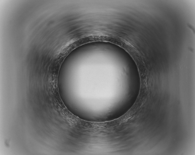 X0000101180870200807071243