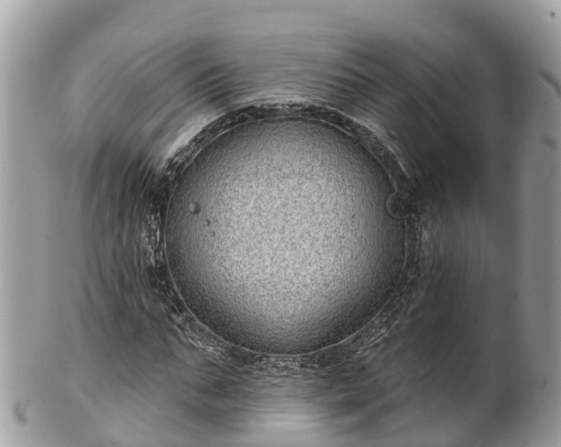 X0000101180871200807071243