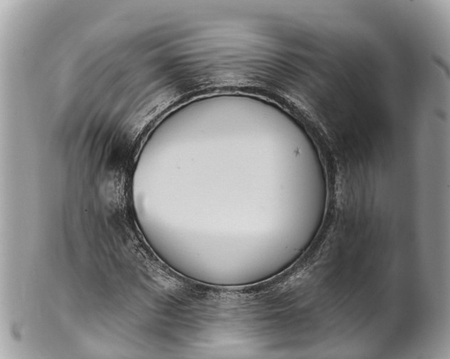 X0000101180873200807071243