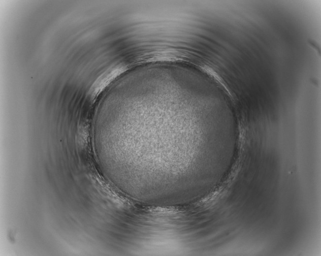 X0000101180874200807071243