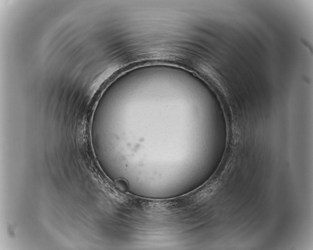 X0000101180875200807071243