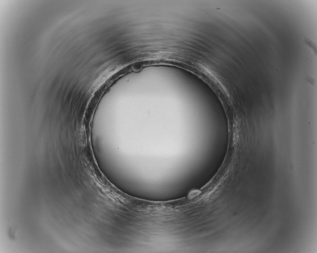 X0000101180876200807071243