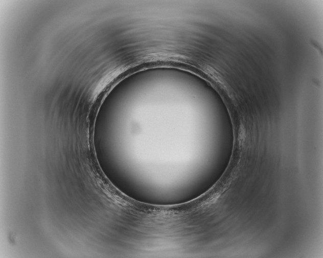 X0000101180877200807071243