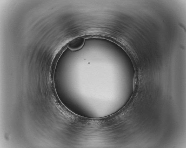 X0000101180880200807071242