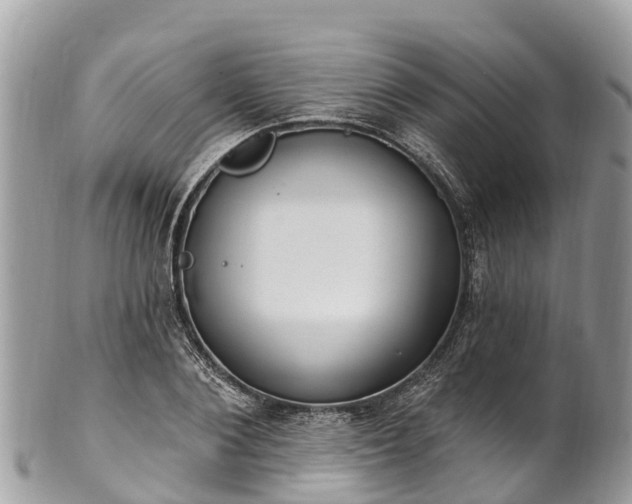 X0000101180884200807071242