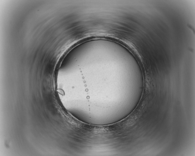 X0000101180887200807071242