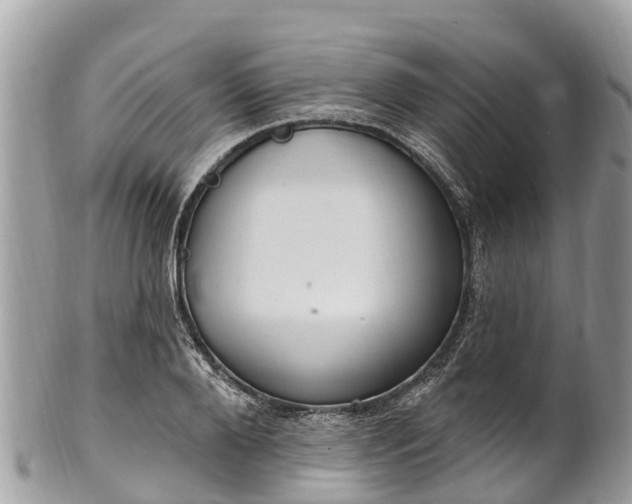 X0000101180888200807071242