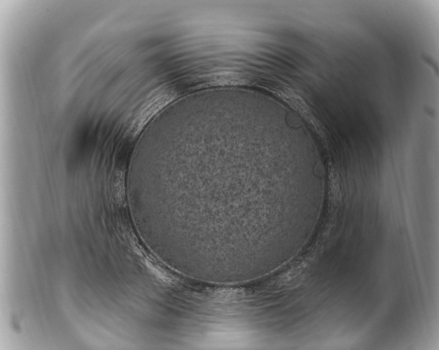 X0000101180889200807071242