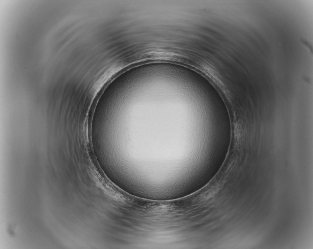 X0000101180891200807071242