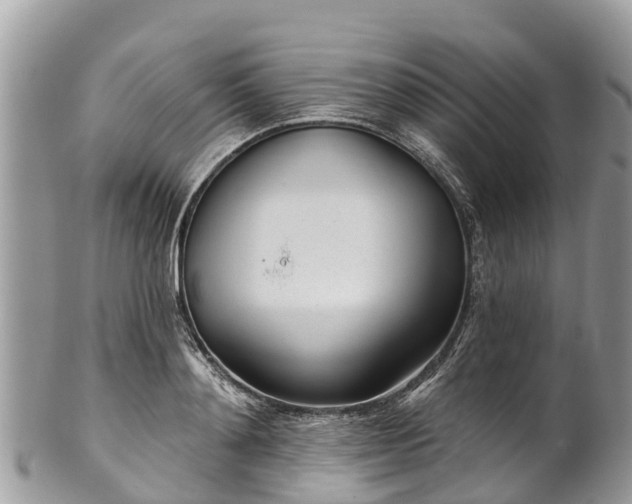 X0000101180892200807071242