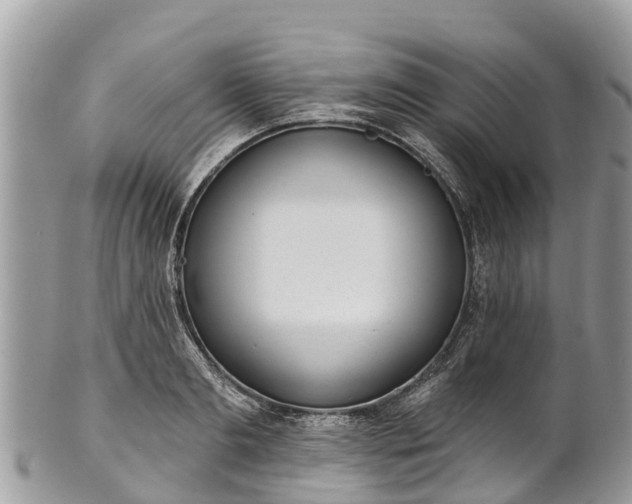 X0000101180893200807071242