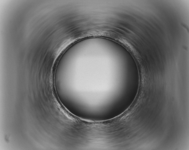 X0000101180894200807071242