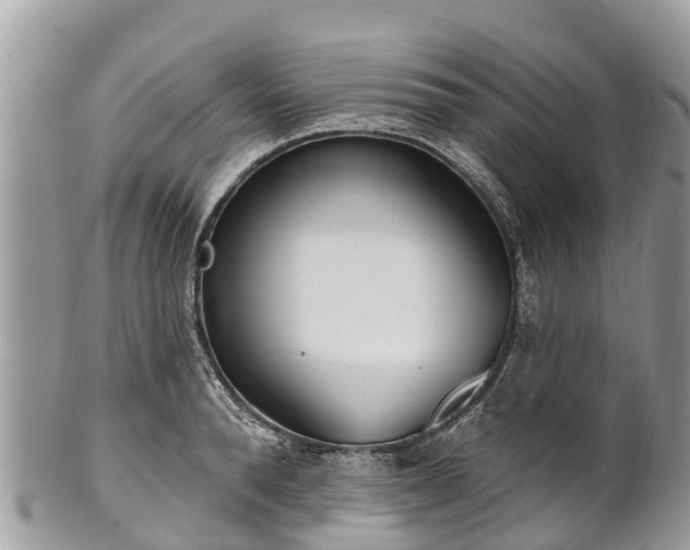 X0000101180896200807071242