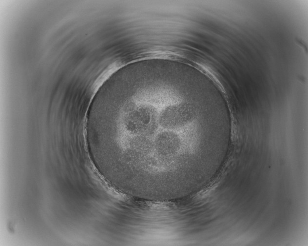 X0000101180899200807071242