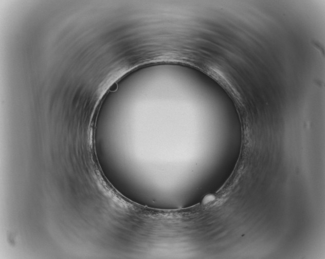 X0000101180900200807071242