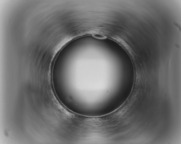 X0000101180902200807071242
