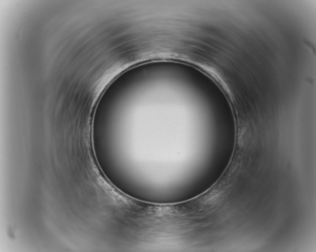 X0000101180903200807071242