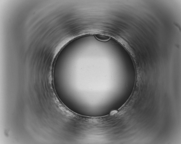 X0000101180904200807071242