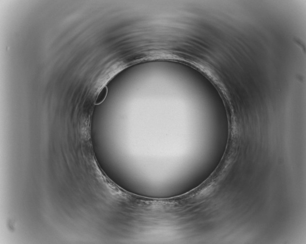 X0000101180905200807071242