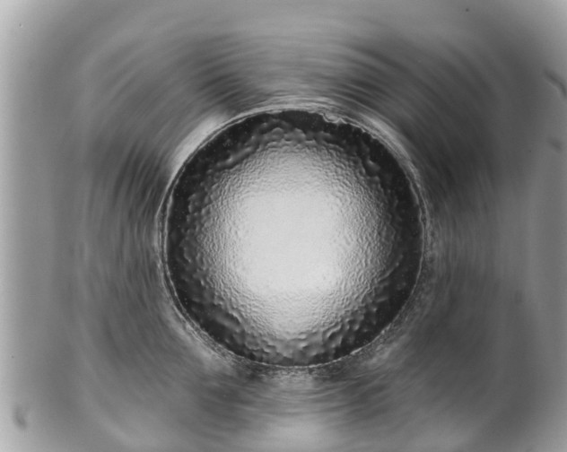 X0000101180907200807071242