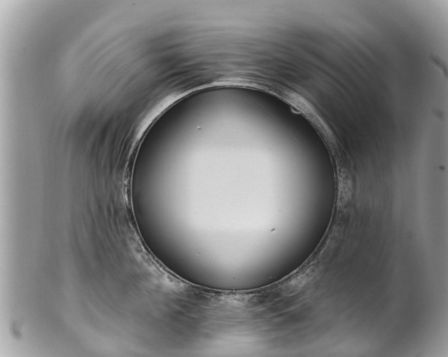 X0000101180908200807071242