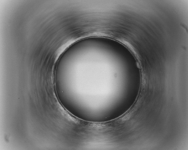 X0000101180910200807071242