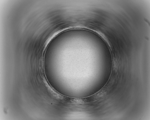 X0000101180911200807071242
