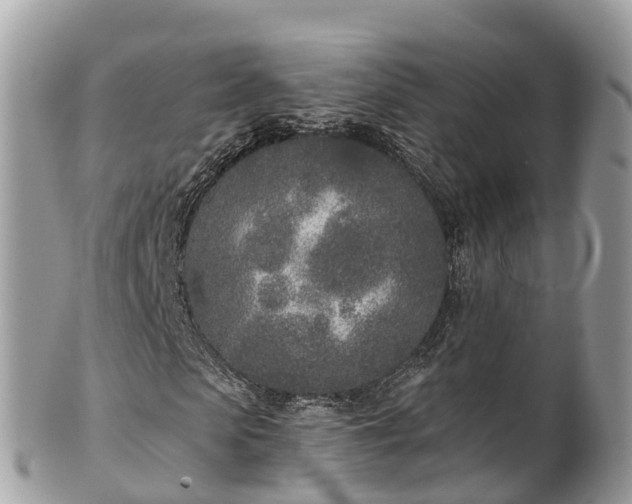 X0000101180913200807071241