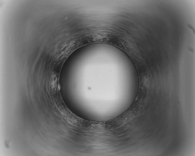 X0000101180914200807071241