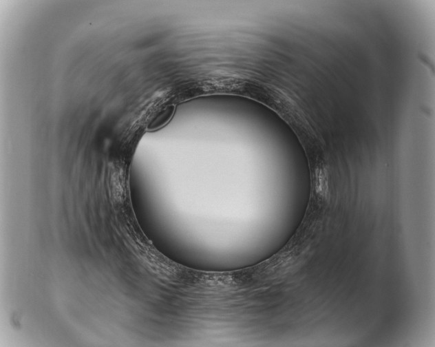 X0000101180915200807071241