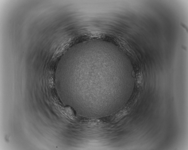 X0000101180916200807071241