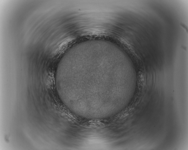 X0000101180918200807071241