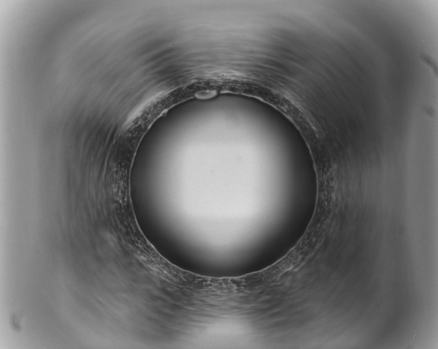 X0000101180919200807071241