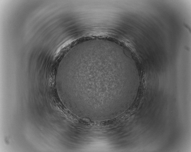X0000101180920200807071241