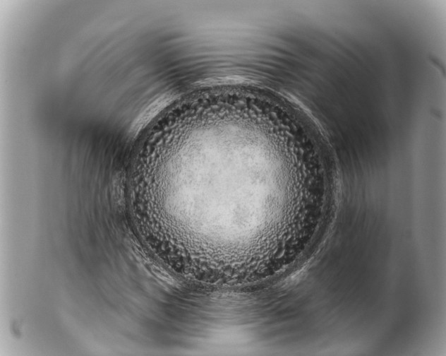 X0000101180921200807071241